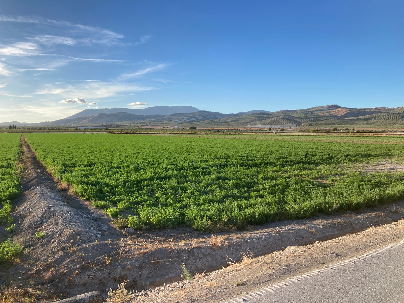 8. IMG_0451 oct24 esquina sureste