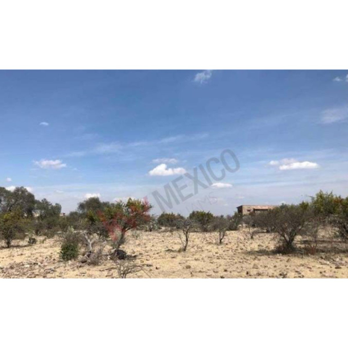 Terreno Con Mucho Potencial