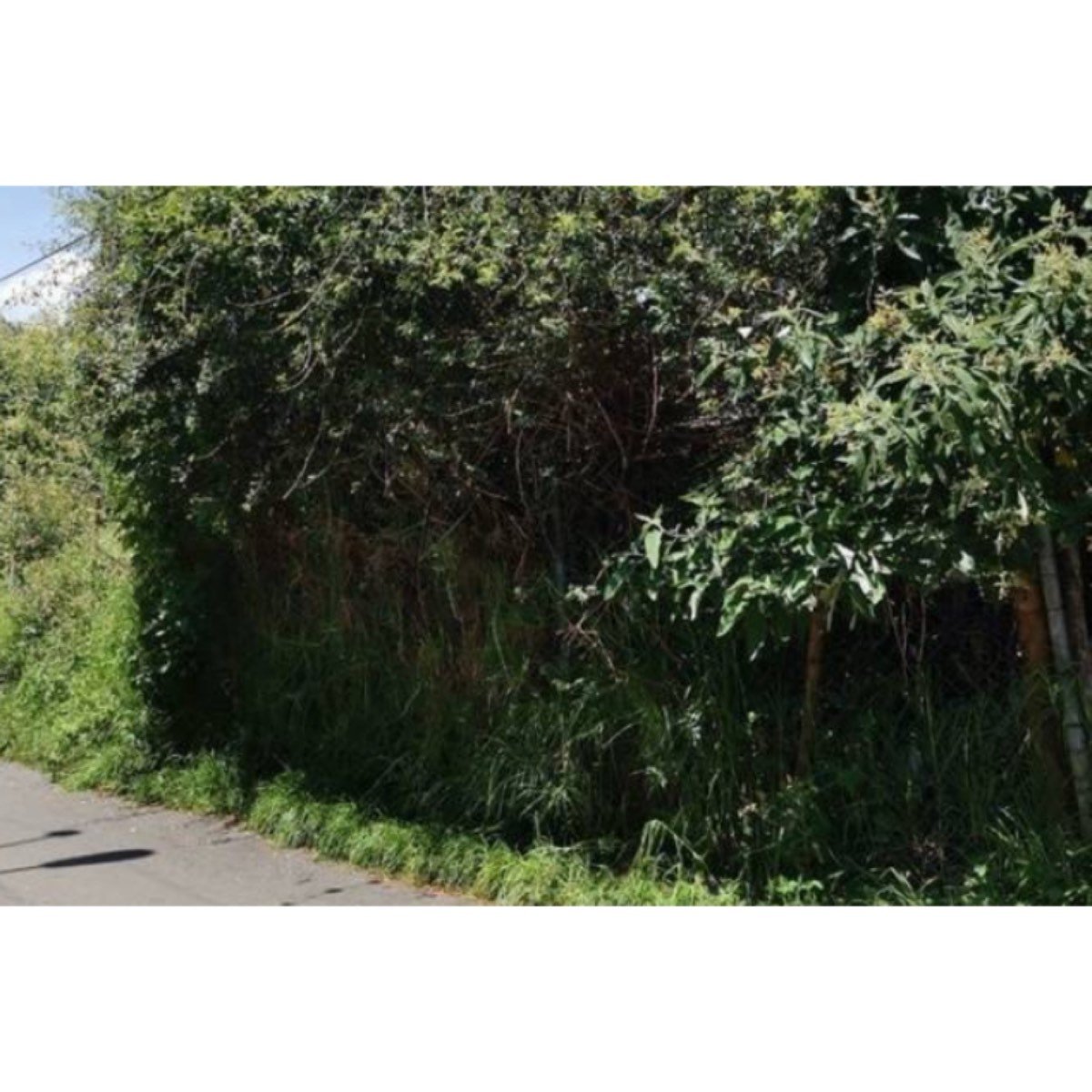Terreno En Venta En Lomas