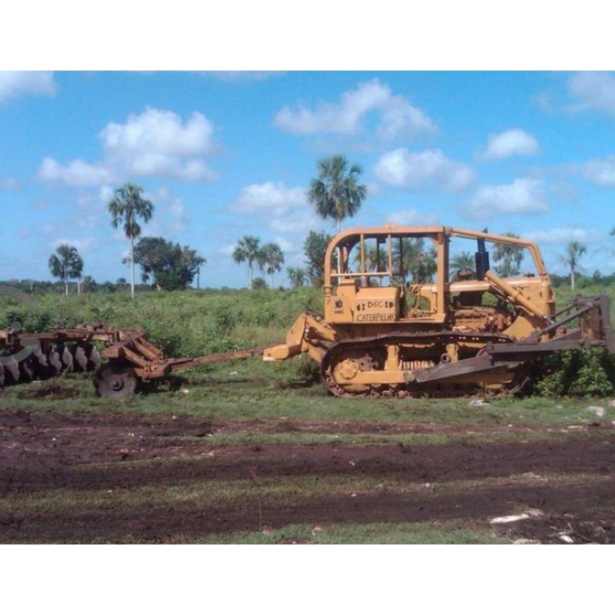 Vendo Rancho Ganadero En Tizimín