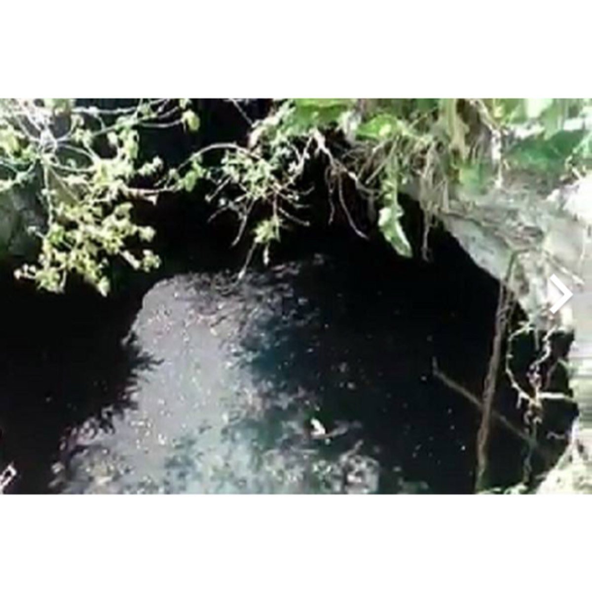 Vendo Bonito Terreno Con Cenote Abierto.