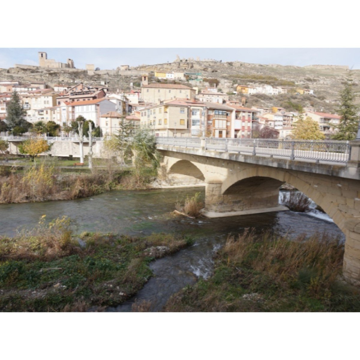 Cerezo de Río Tirón