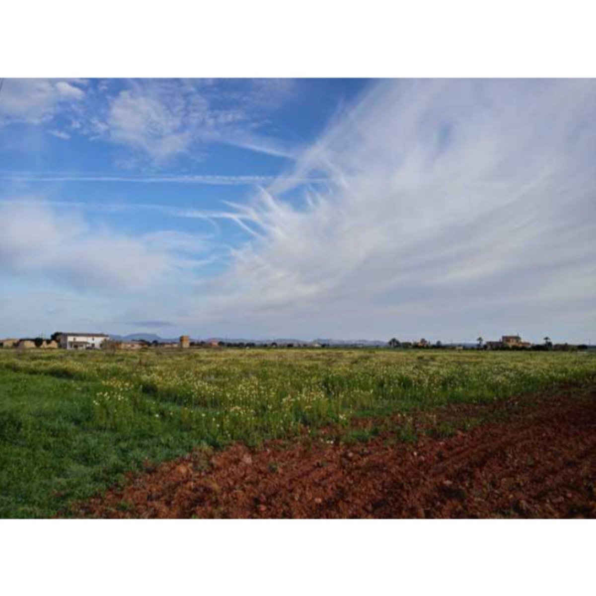 VIVIENDA AISLADA CON PROYECTO BÁSICO SA