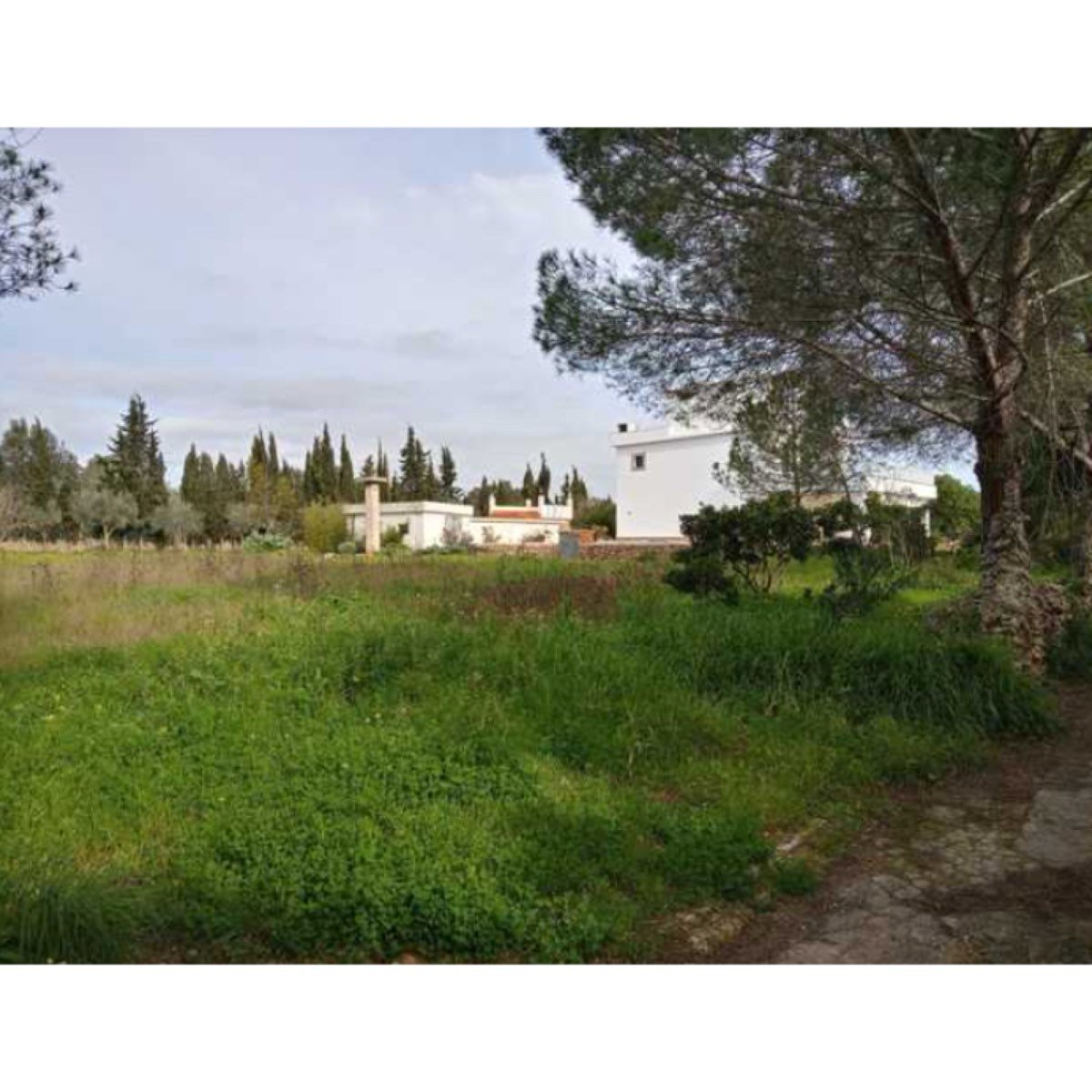 VIVIENDA ENTORNO GRAN PRIVACIDAD LLUBI