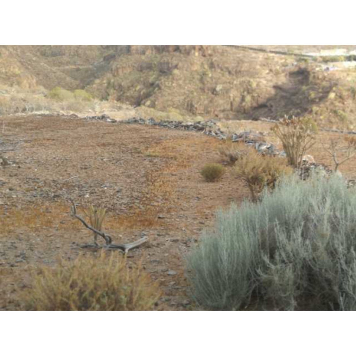TERRENO EN ZONA ALTA DE PLAYA SAN JUAN
