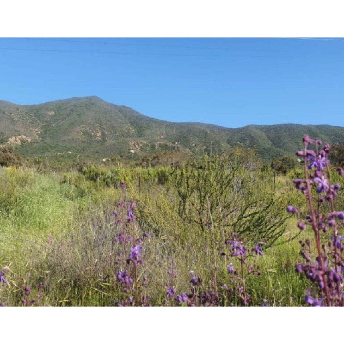 7,000 M2 En Valle De Guadalupe