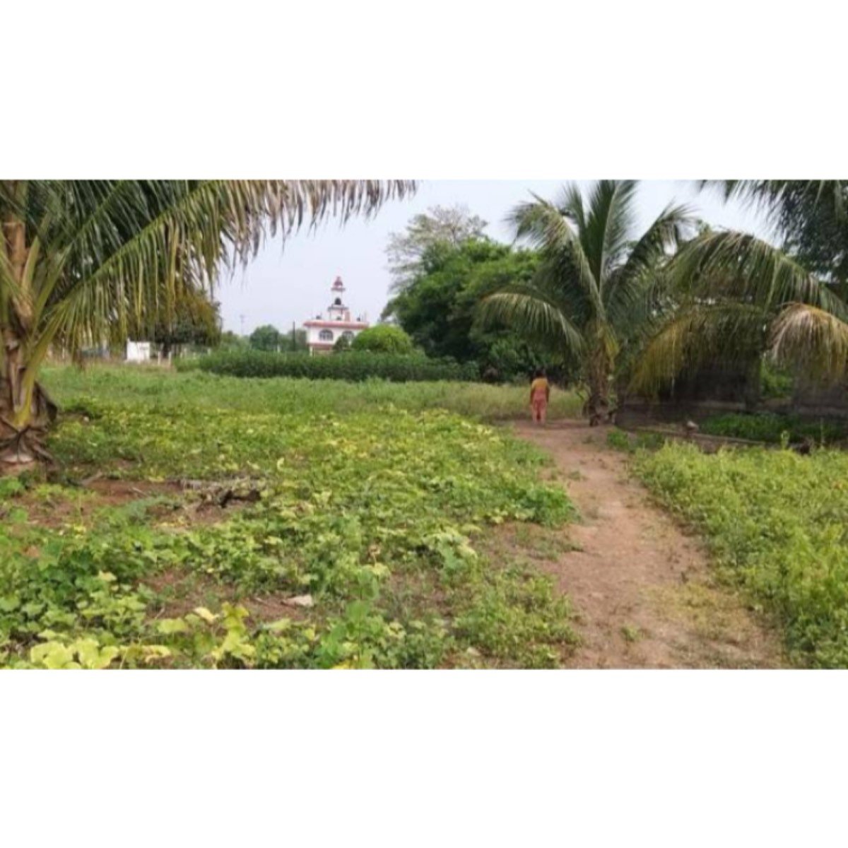 Terreno En Venta