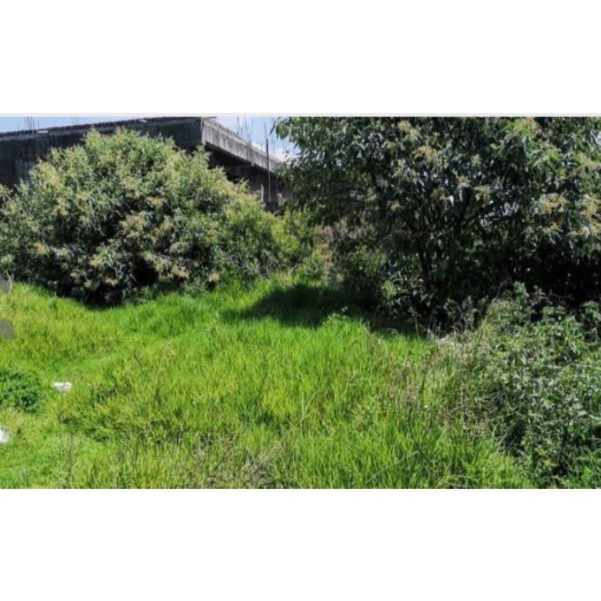 Terreno En Venta En Lomas