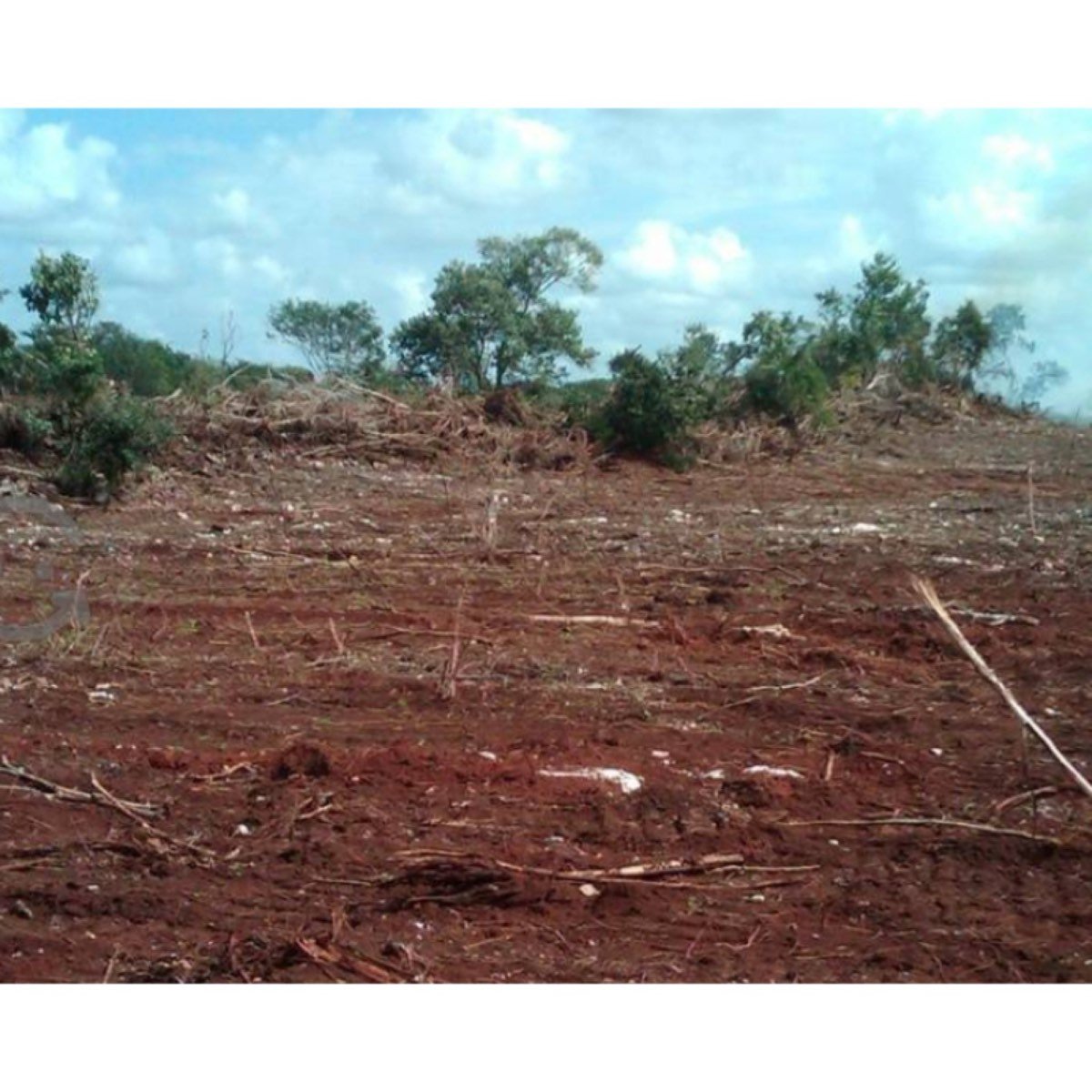 Vendo Rancho Ganadero En Tizimín