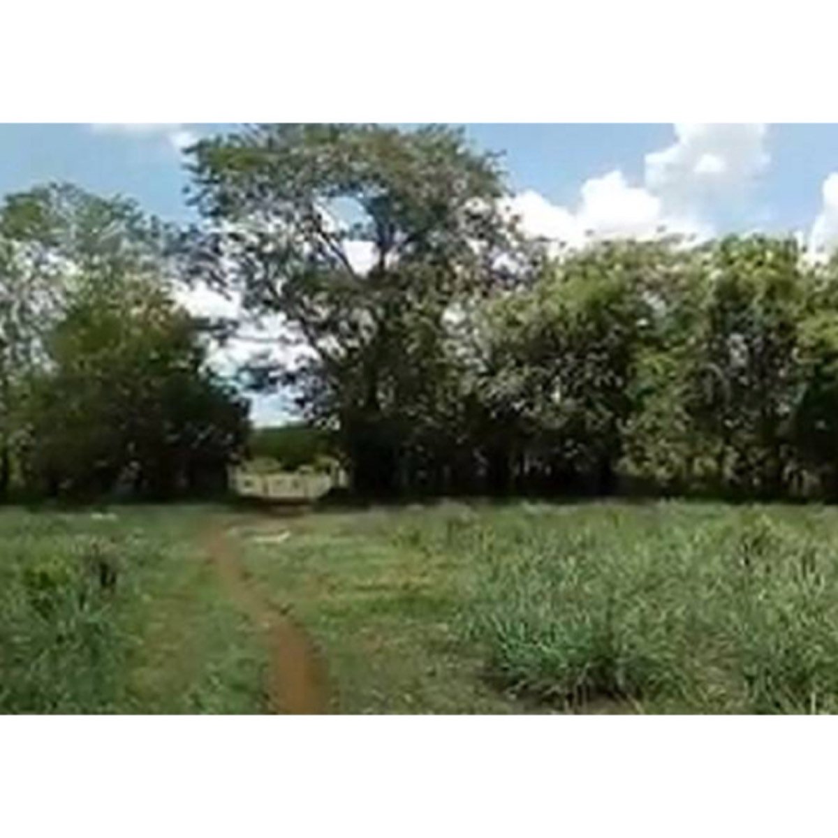 Vendo Bonito Terreno Con Cenote Abierto.