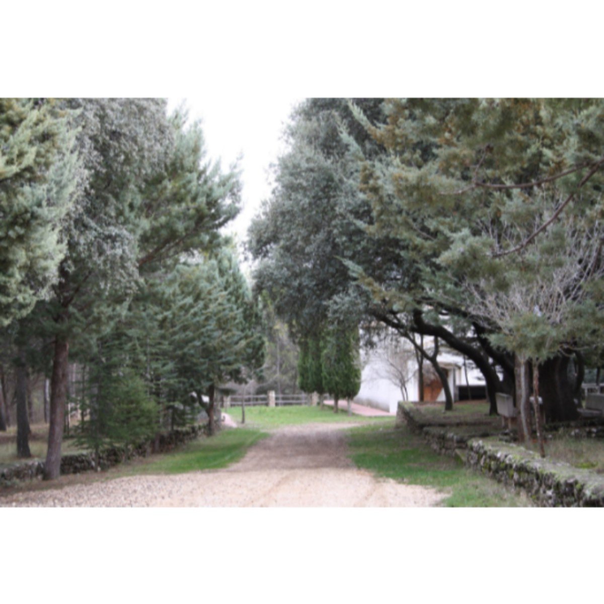 Tinajas Cuenca