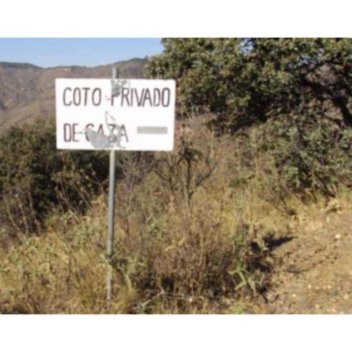 BUSCO TRABAJO EN EL CAMPO