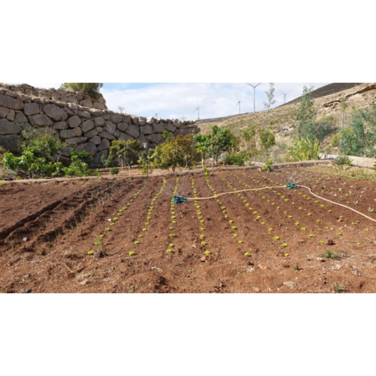FINCA RÚSTICA, LAS ERAS