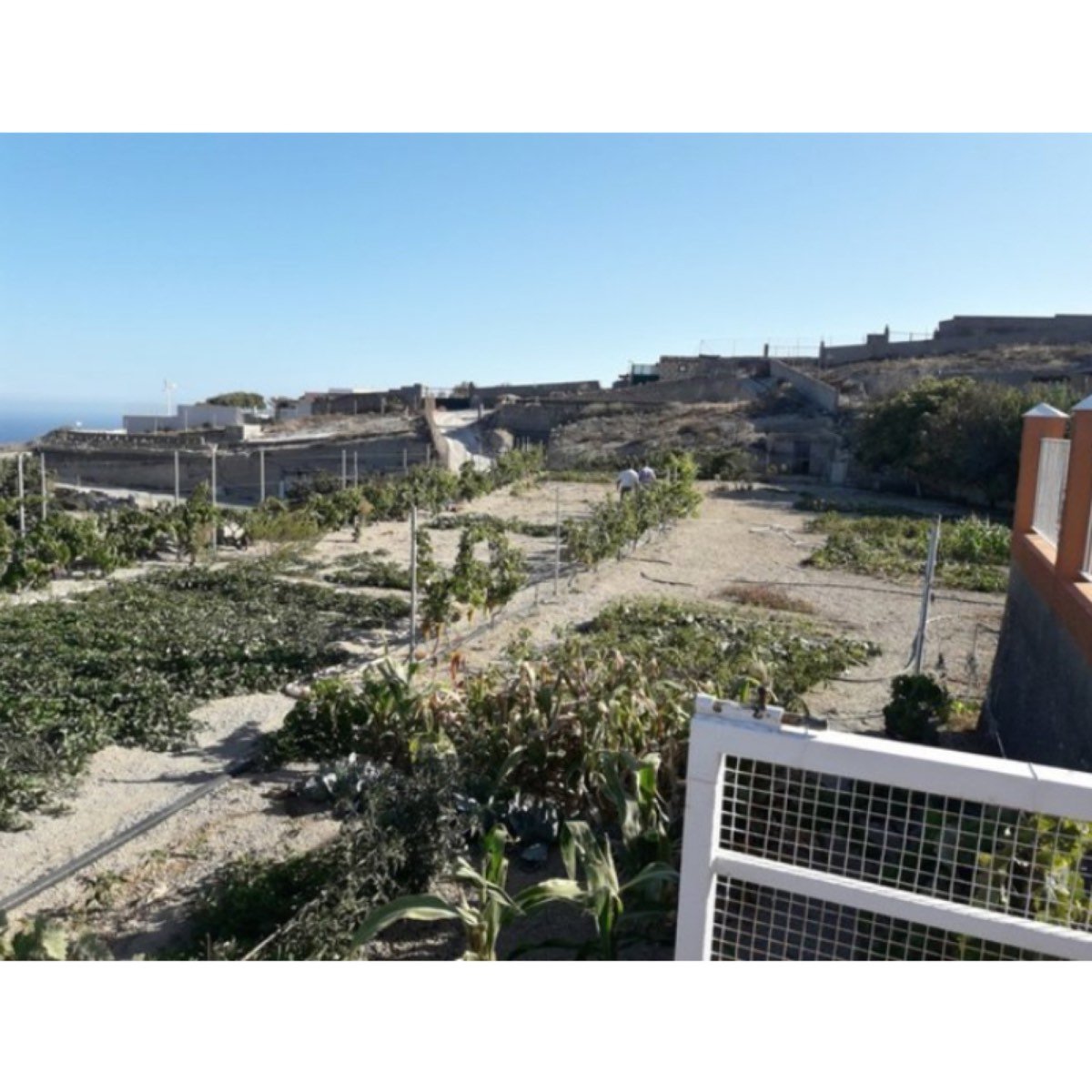 Terreno con casa de 68m2