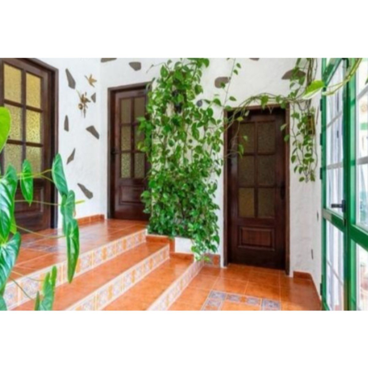 Gran parcela y casa con piscina en Granadilla de Abona