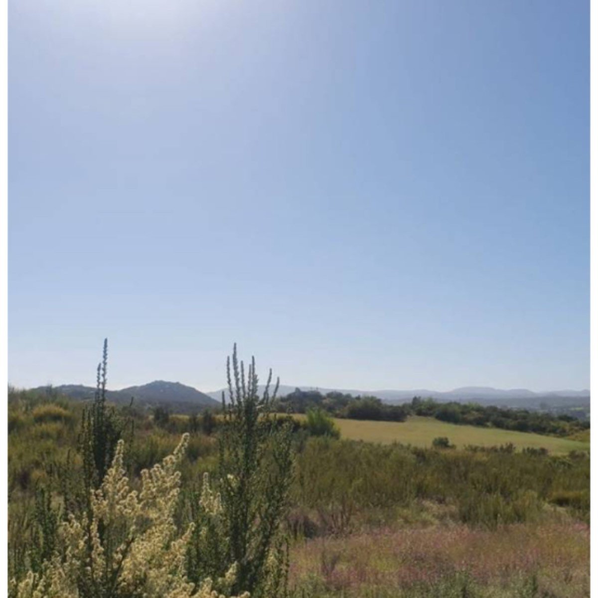7,000 M2 En Valle De Guadalupe