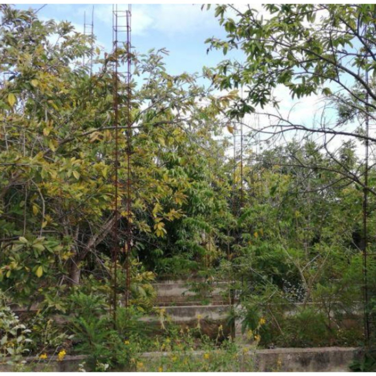 Terreno En Venta En Fracc Loma Bonita