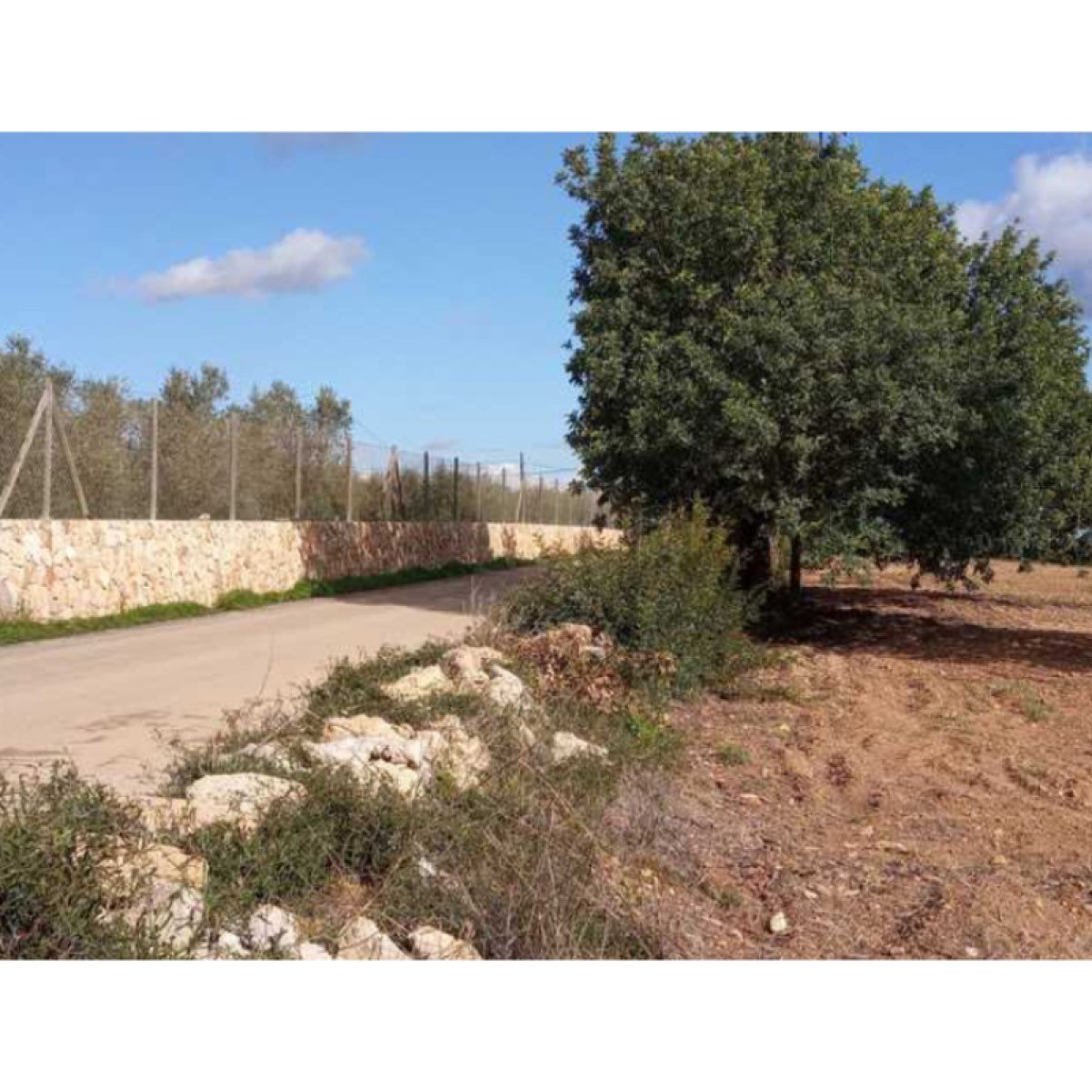 FINCA EDIFICABLE PORRERES