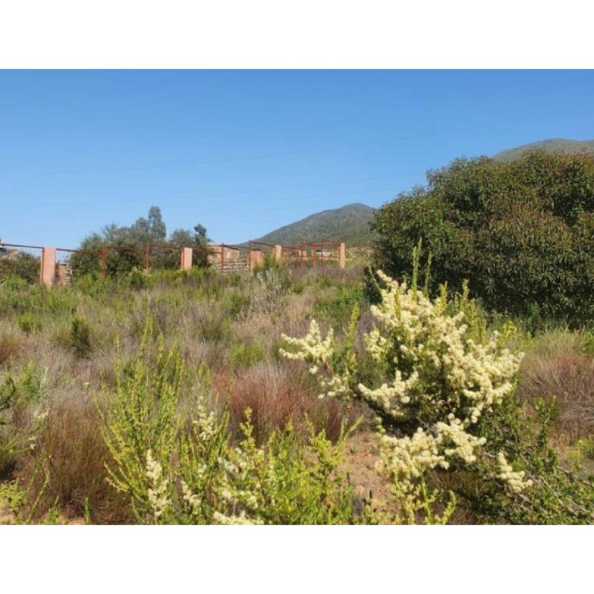 7,000 M2 En Valle De Guadalupe
