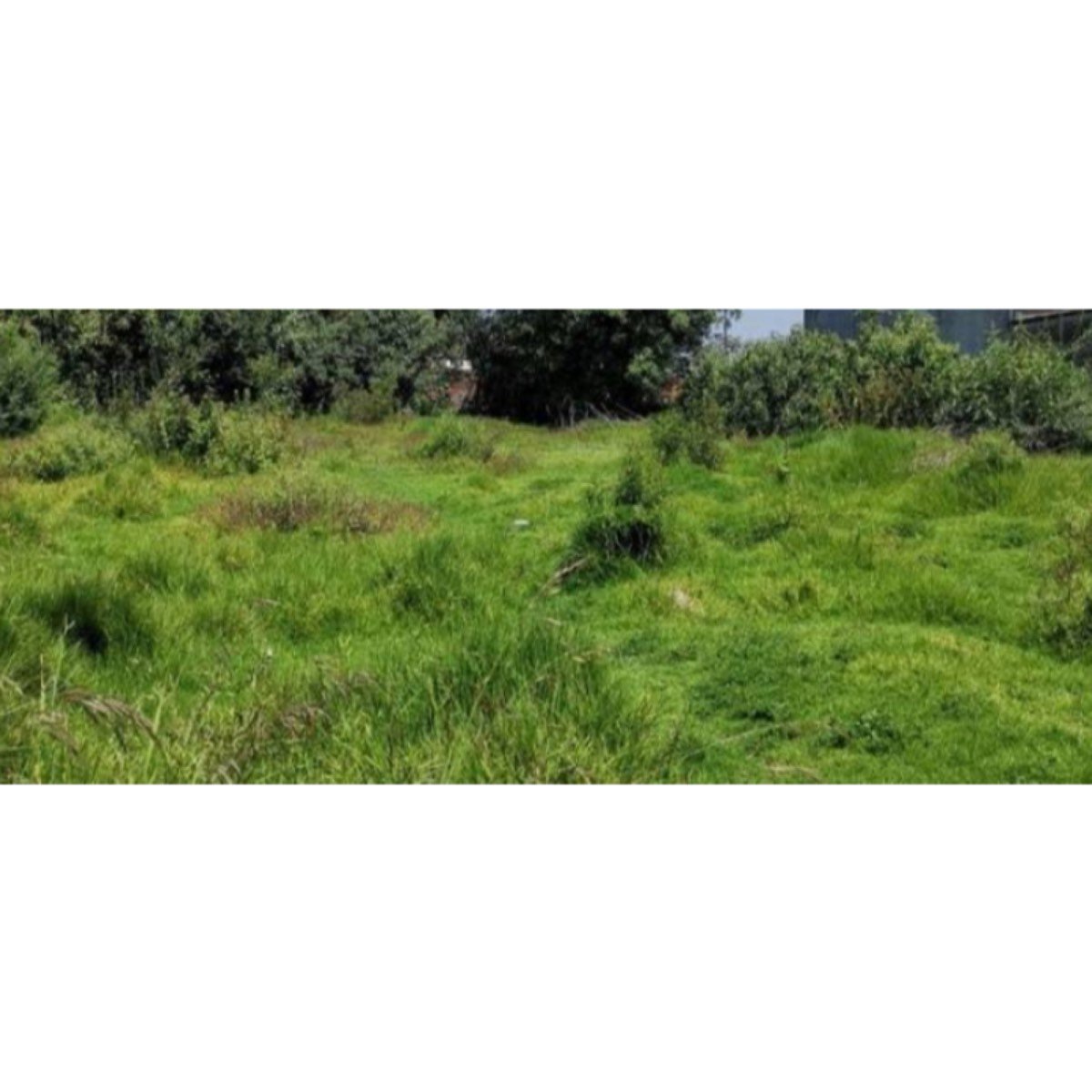Terreno En Venta En Lomas