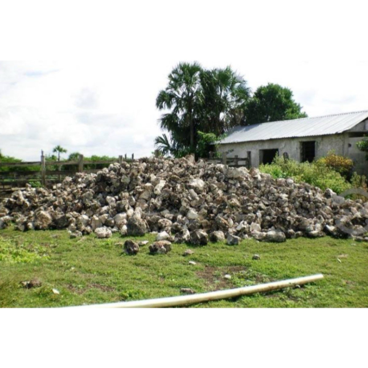 Vendo Rancho Ganadero En Tizimín