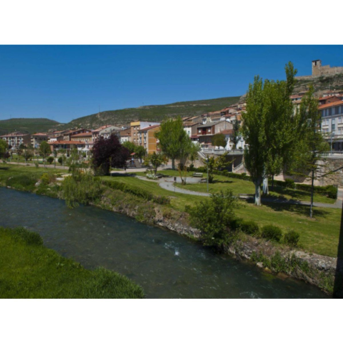 Cerezo de Río Tirón