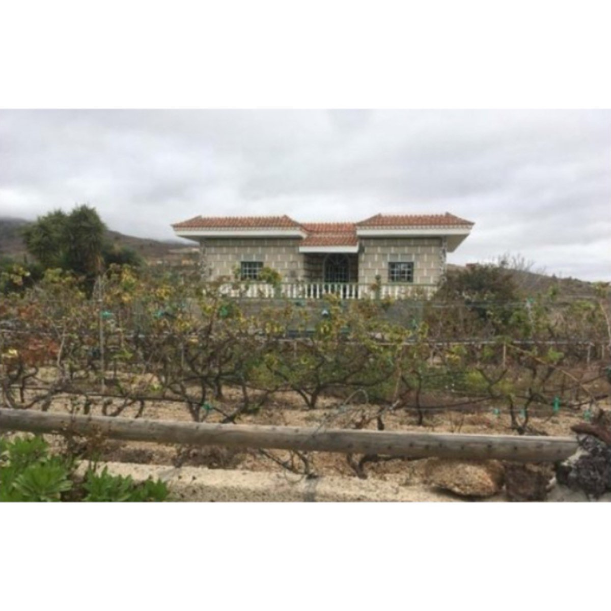 Gran parcela y casa con piscina en Granadilla de Abona
