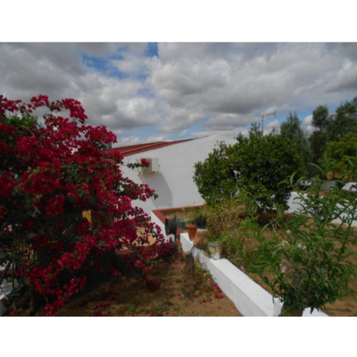 VENTA FINCA RUSTICA REGADIO