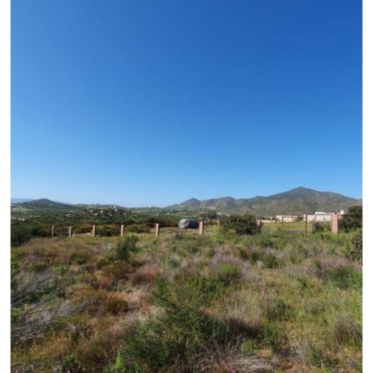7,000 M2 En Valle De Guadalupe