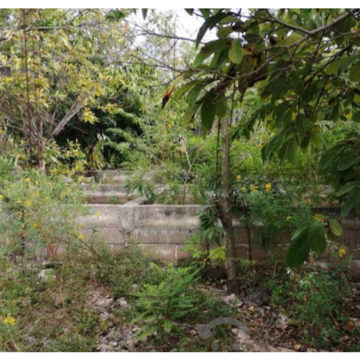 Terreno En Venta En Fracc Loma Bonita