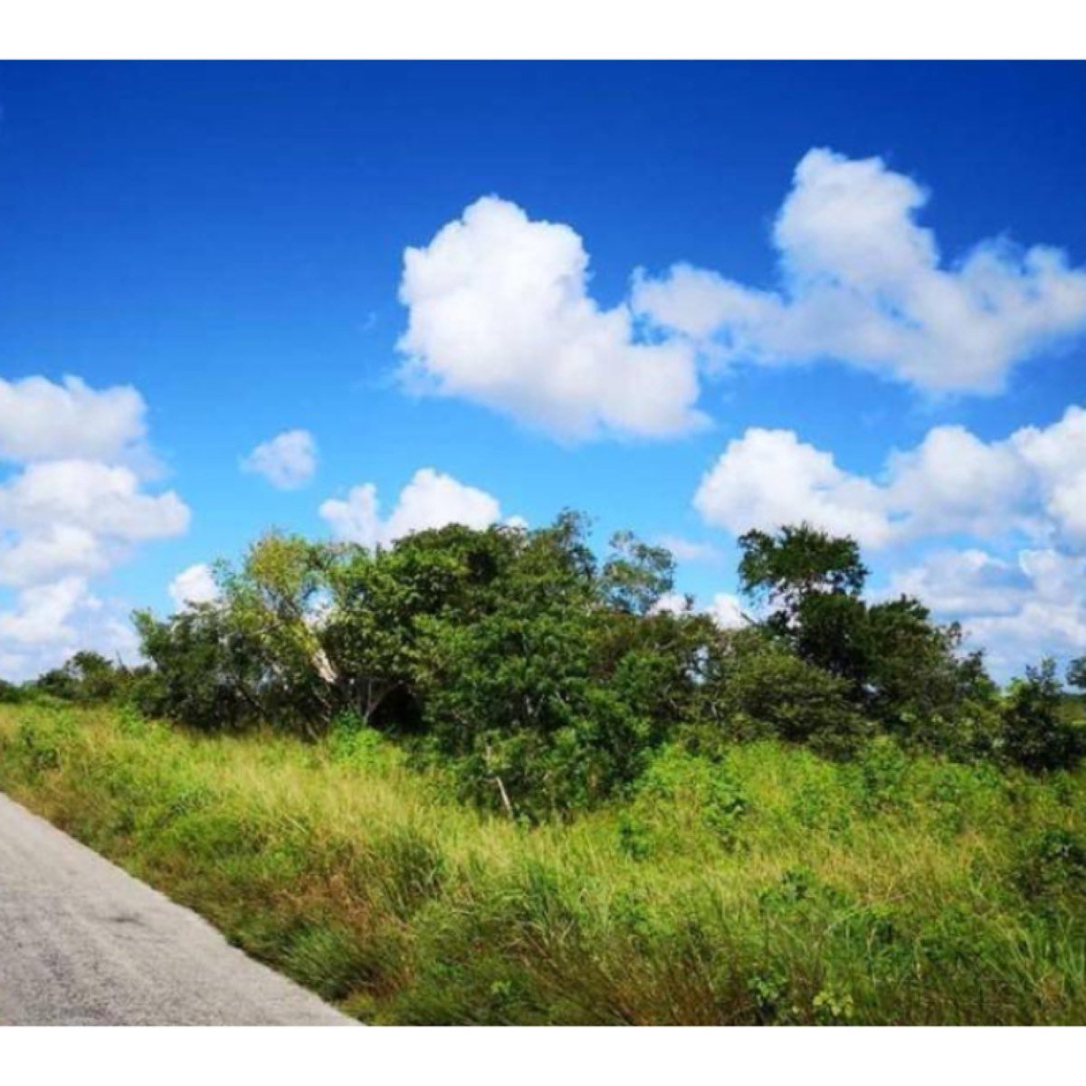 Terreno En Izamal