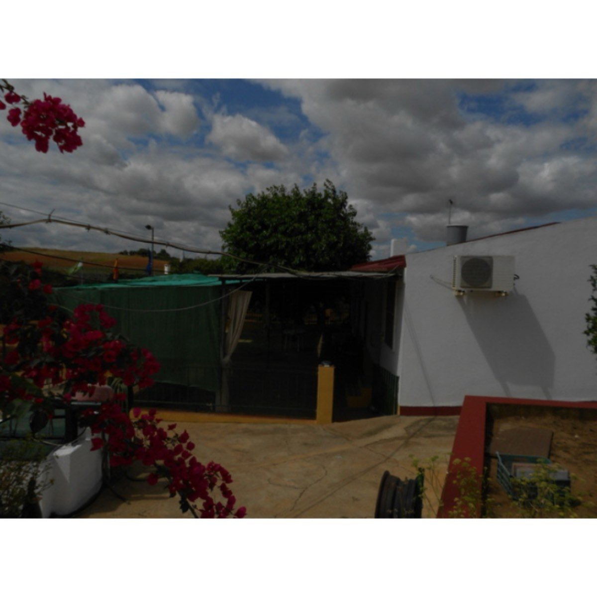 VENTA FINCA RUSTICA REGADIO