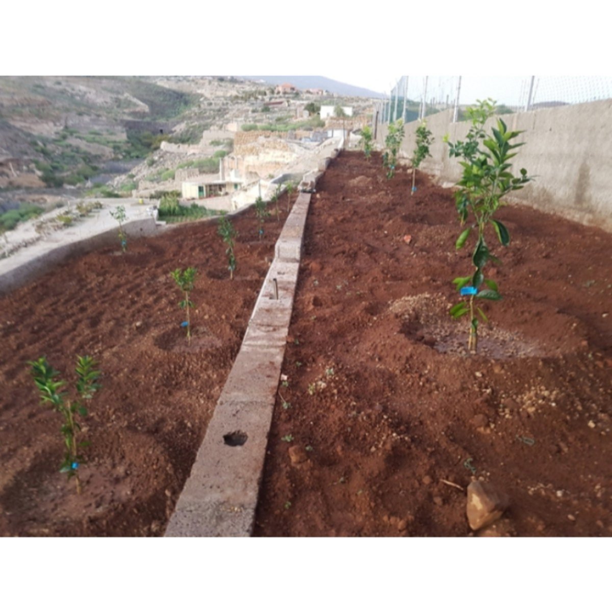 FINCA RÚSTICA, LAS ERAS