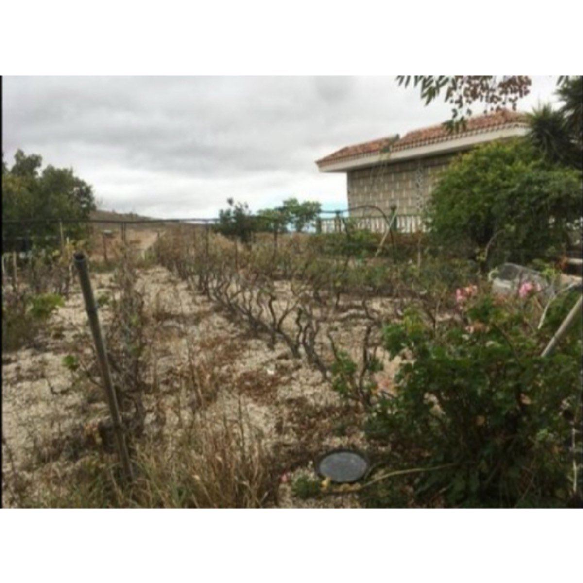 Gran parcela y casa con piscina en Granadilla de Abona