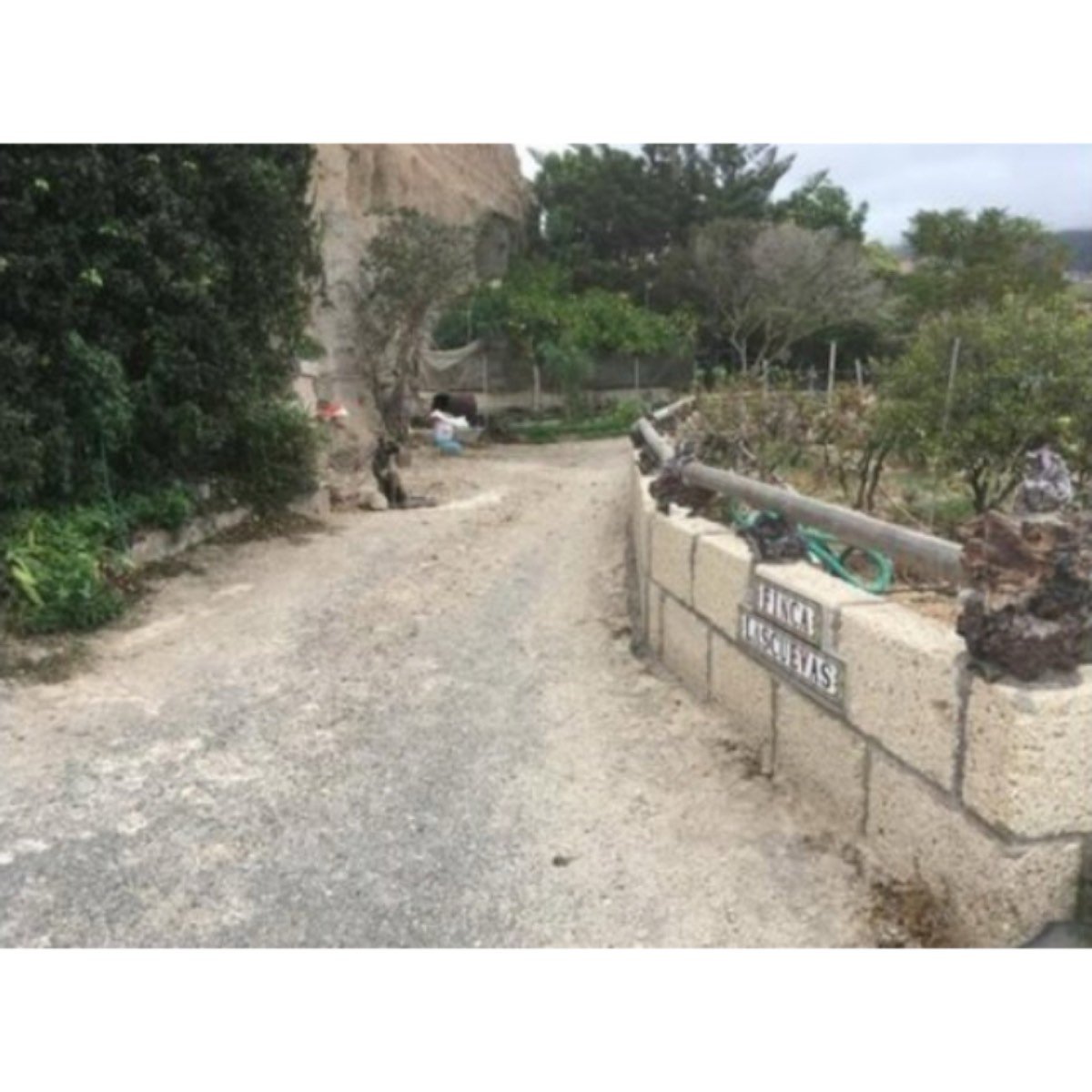 Gran parcela y casa con piscina en Granadilla de Abona