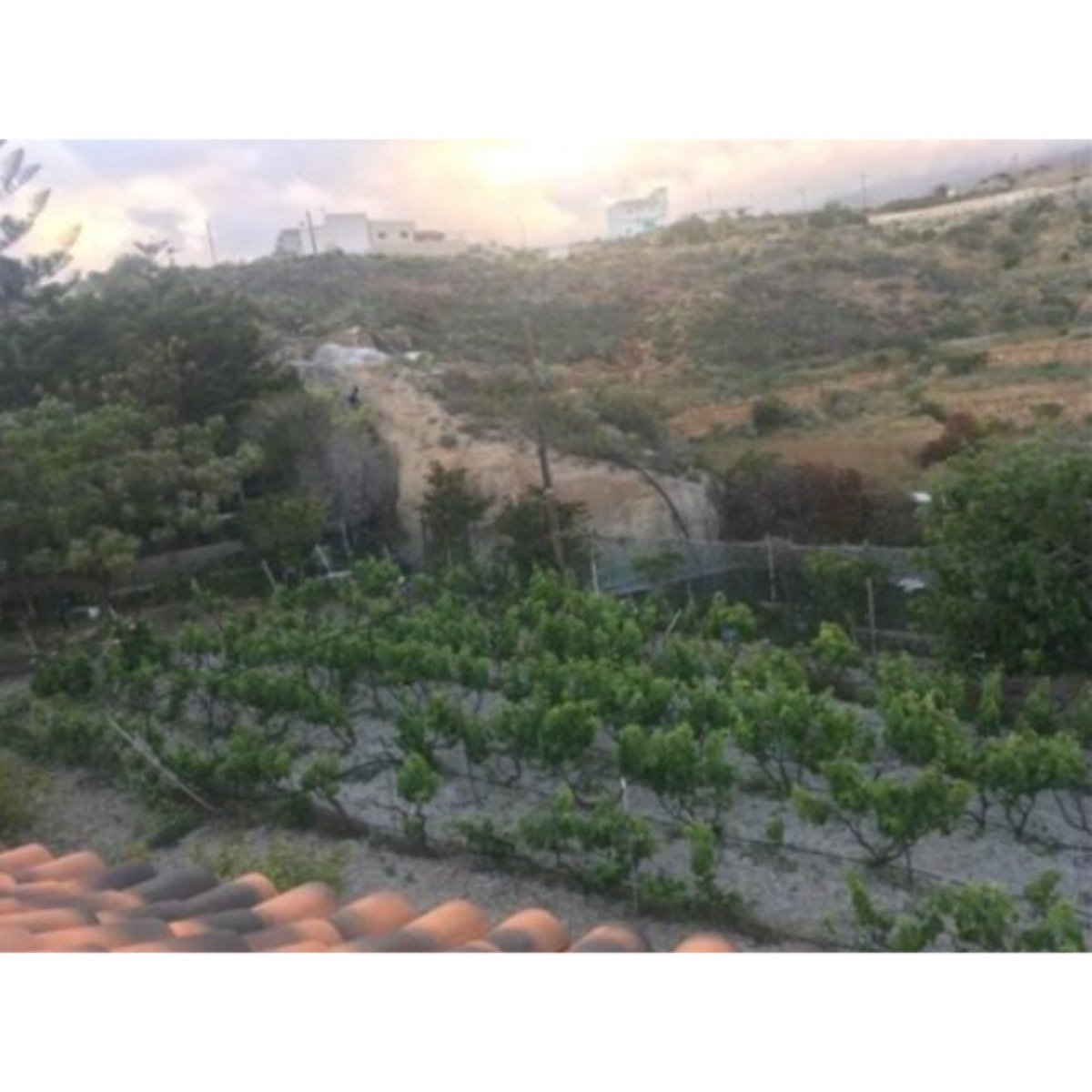 Gran parcela y casa con piscina en Granadilla de Abona