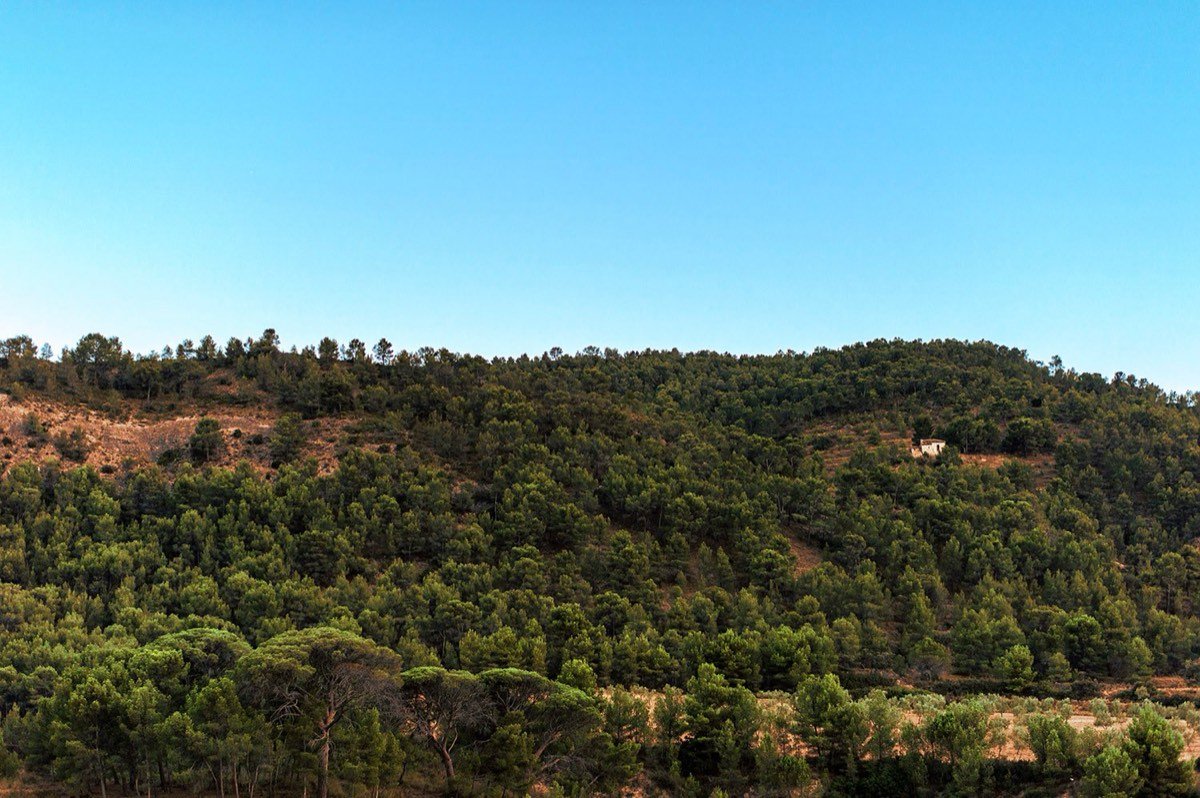 vistas-desde-nuestros