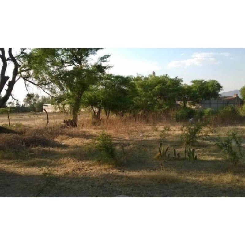 Terreno En Venta En Estación Querendaro