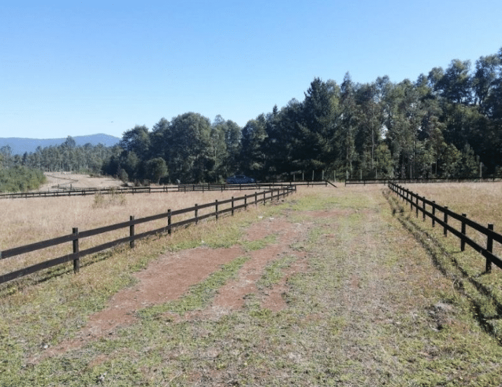 Parcela a 10 Km de Villarrica y a 200 M de la carr