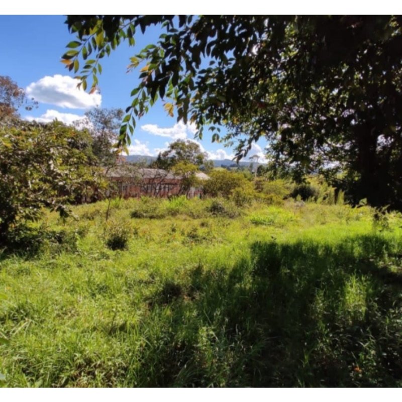 LOTE 330 M2 CON LICENCIA PARA 1570 M2