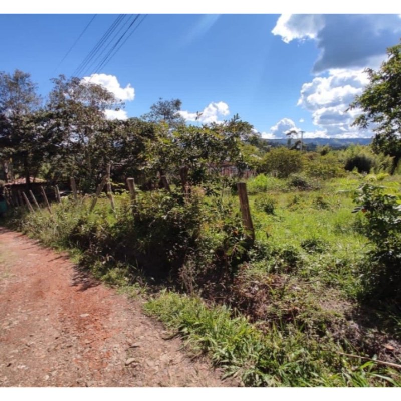LOTE 330 M2 CON LICENCIA PARA 1570 M2