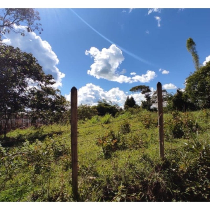 LOTE 330 M2 CON LICENCIA PARA 1570 M2