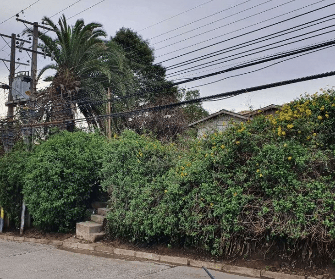 Amplio Terreno, Viña del Mar