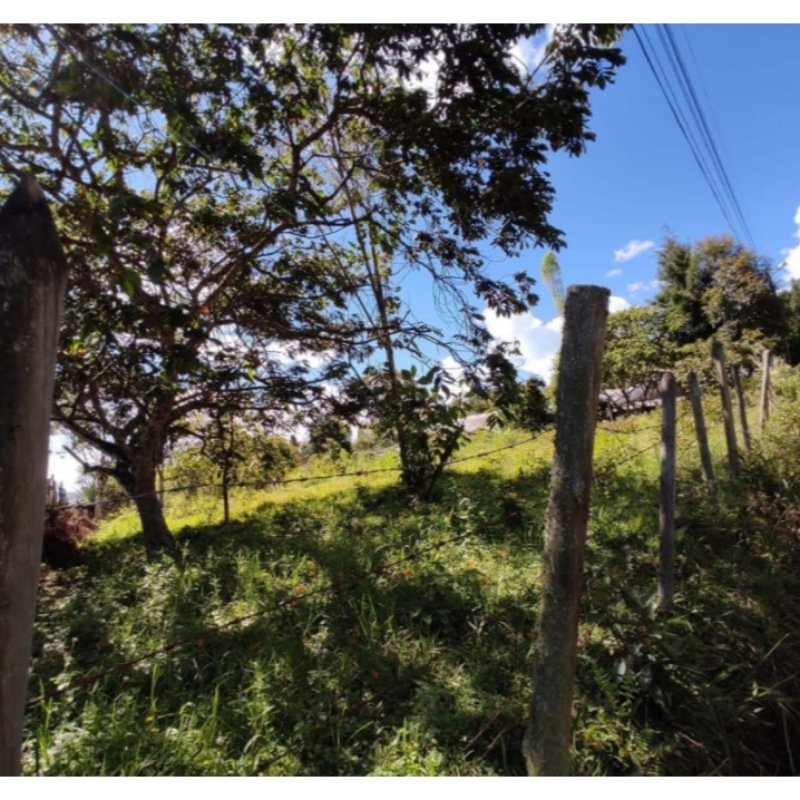 LOTE 330 M2 CON LICENCIA PARA 1570 M2