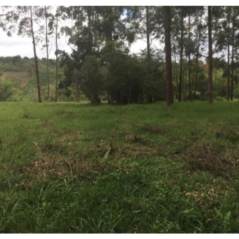 Venta de una hectárea en zona cafetera