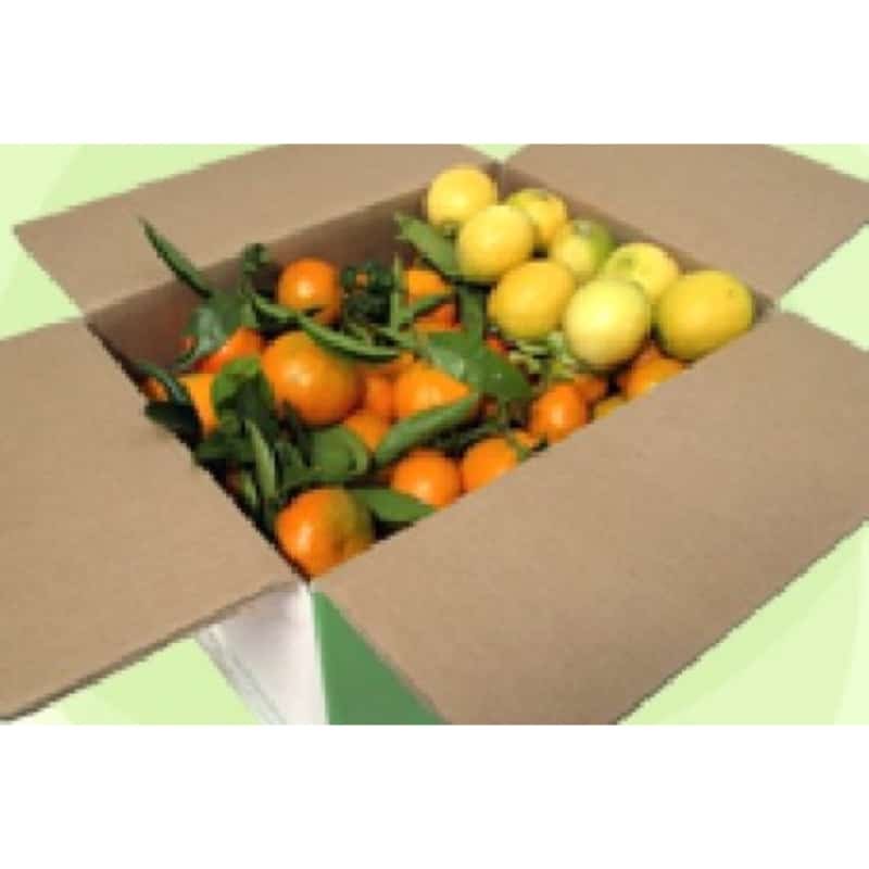Venta de Aguacates en Alicante
