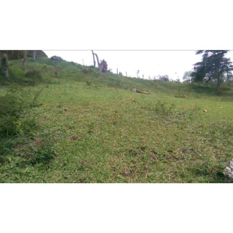 Se vende lote campestre Girardota