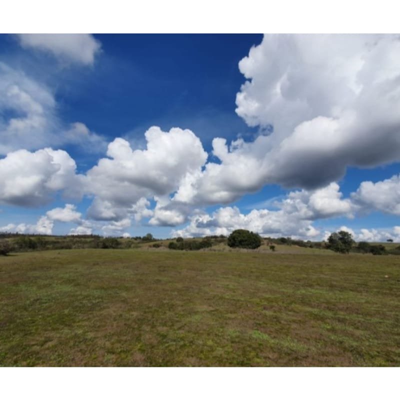 Excelente oportunidad (parcelas 5.000 m2)