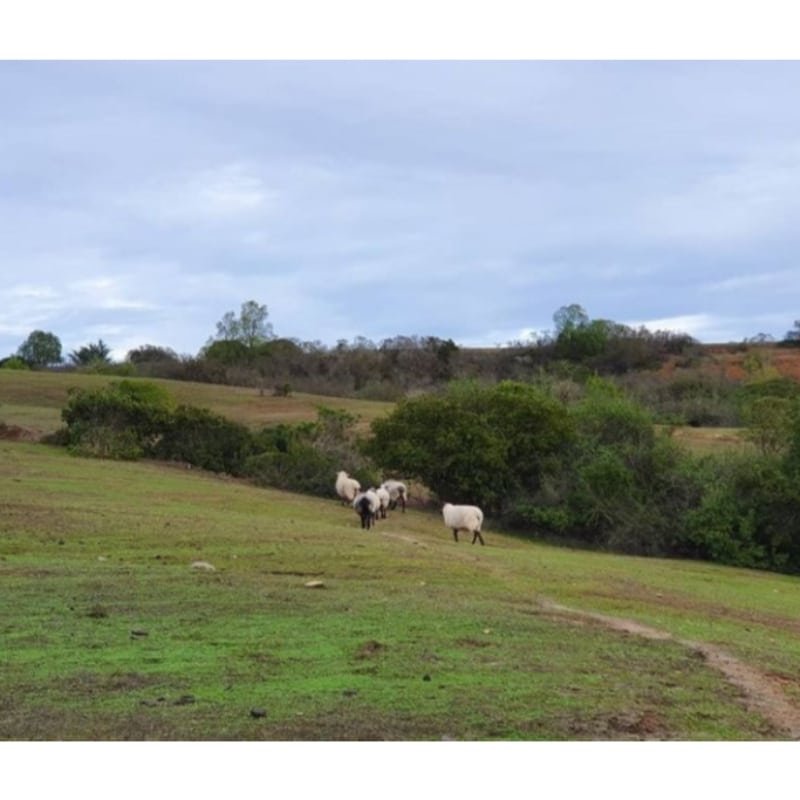 Excelente oportunidad (parcelas 5.000 m2)