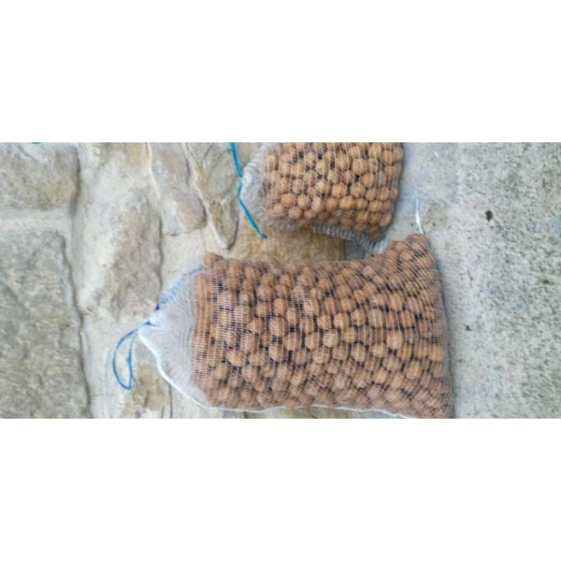 Venta de Nueces en Navarra